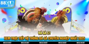 đá gà c1 thumb