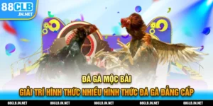 đá gà mộc bài thumb