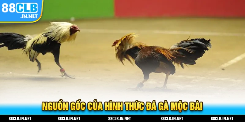 Nguồn gốc xuất hiện trên thị trường của trò chơi đá gà mộc bài