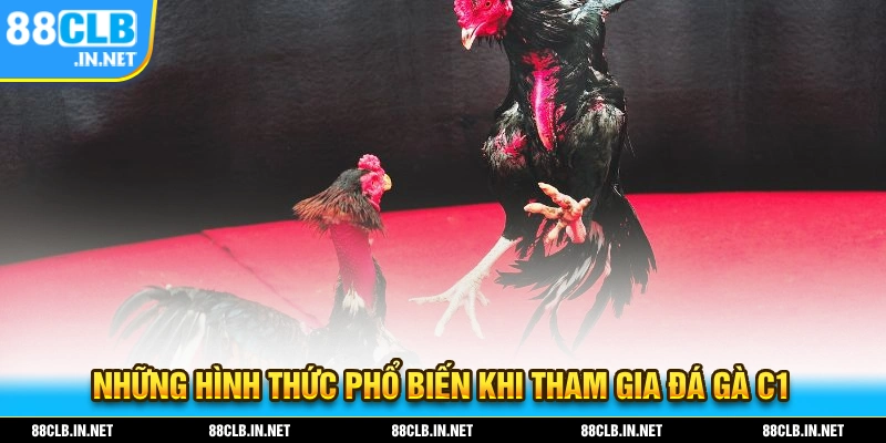 Những hình thức giải trí phổ biến nhất khi tham gia đá gà C1