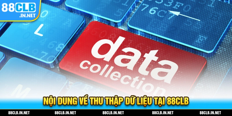 Nội dung về thu thập dữ liệu tại 88CLB